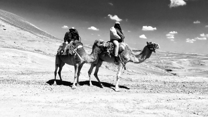 “A Camel is a horse designed by committee”. Alec Issigonis