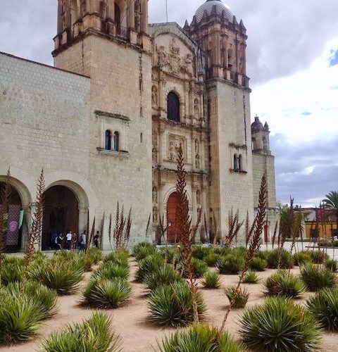 “There’s something magical about Oaxaca and the vibe of the people.” Mike White