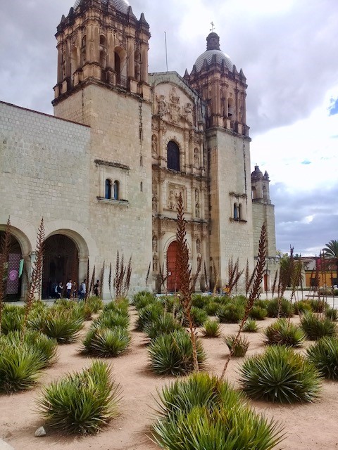 “There’s something magical about Oaxaca and the vibe of the people.” Mike White