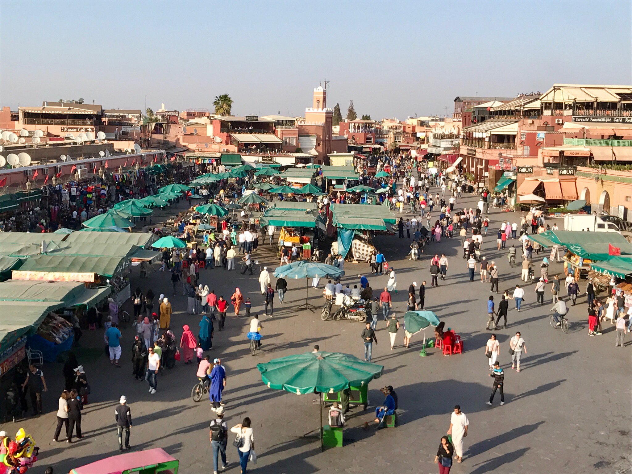 “Sometimes, when I see how silly people behave, I’m glad I’m a camel.” From the Road to Morocco”