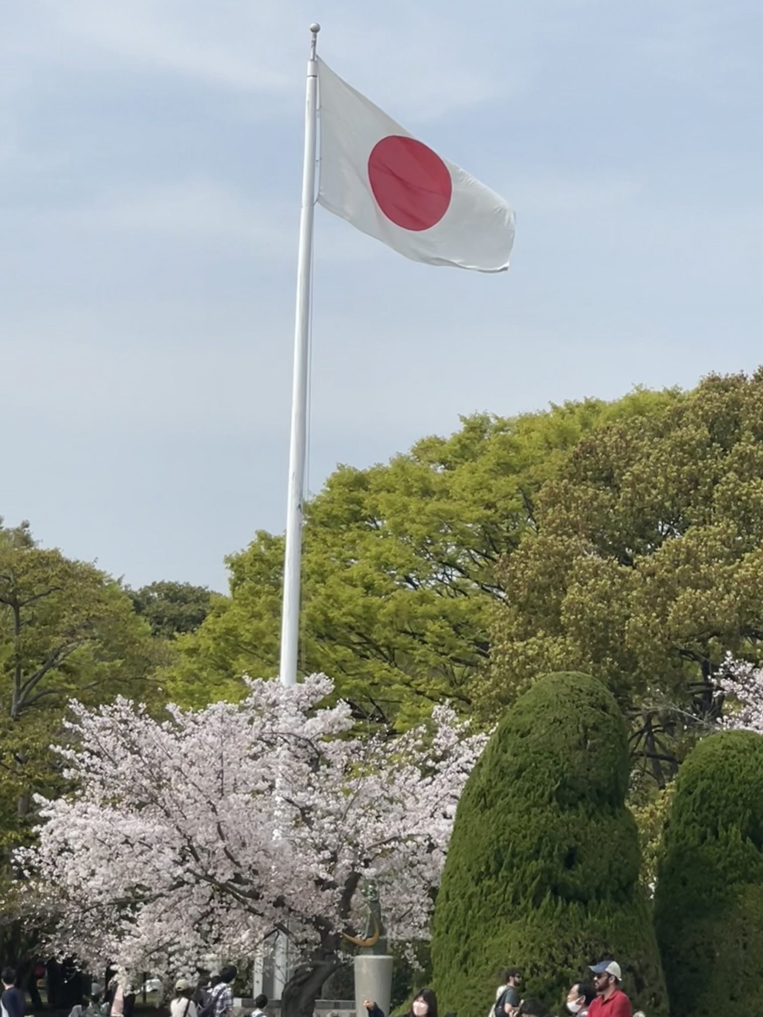 The first day in Tokyo was disorientating – all neon, gadgets and extreme politeness – but I was surprised to find that I have a lot in common with the Japanese because they’re bonkers about food.                                                                     Rick Stein, restaurateur