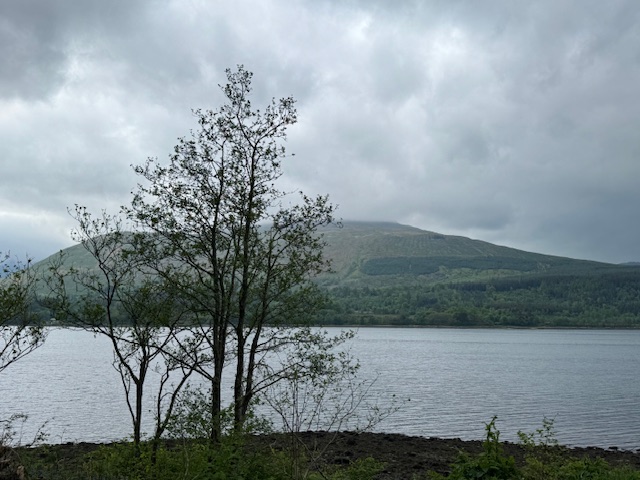 “Scotland’s a pretty place. I mean, as long as it ain’t raining.”